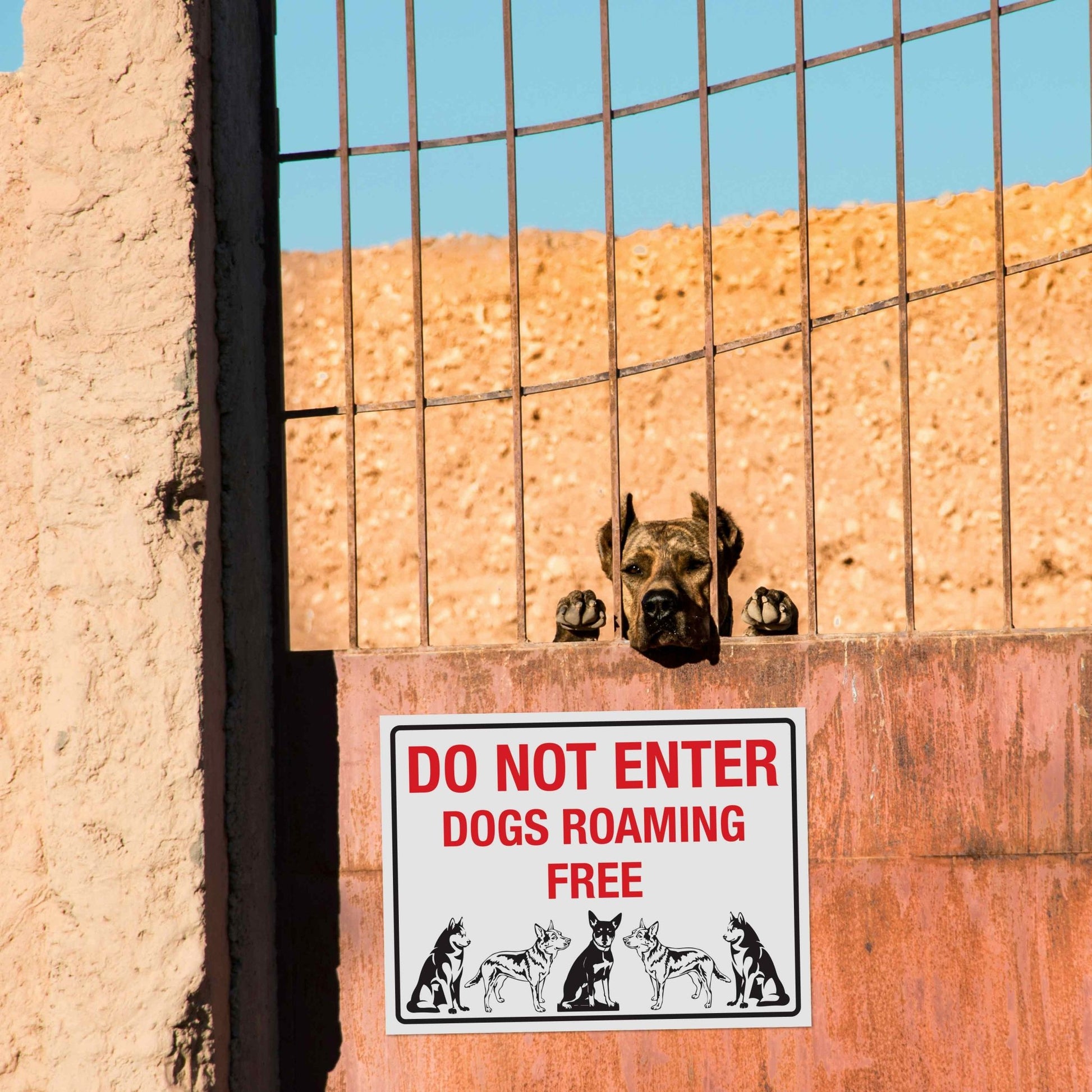 Do Not Enter Dogs Roaming Free Sign - New Signs