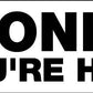 Honk If Youre Horny Car Bumper Stickers - New Signs