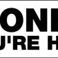 Honk If Youre Horny Car Bumper Stickers - New Signs