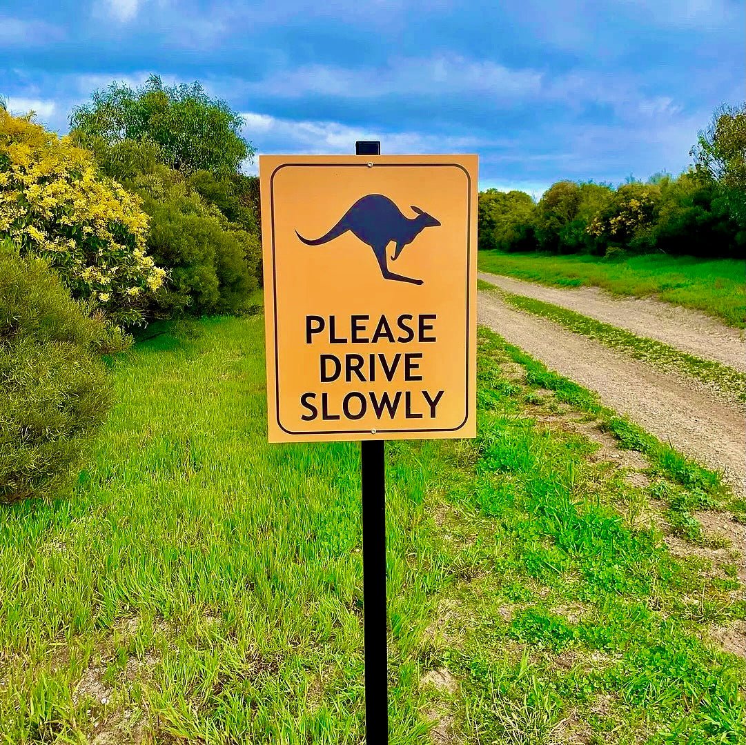 Kangaroo Please Drive Slowly Sign - New Signs