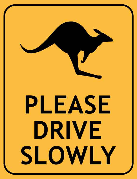 Kangaroo Please Drive Slowly Wheelie Bin Sticker – New Signs