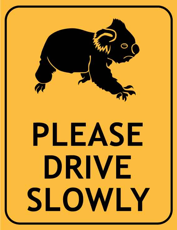 Koala Please Drive Slowly Wheelie Bin Sticker - New Signs