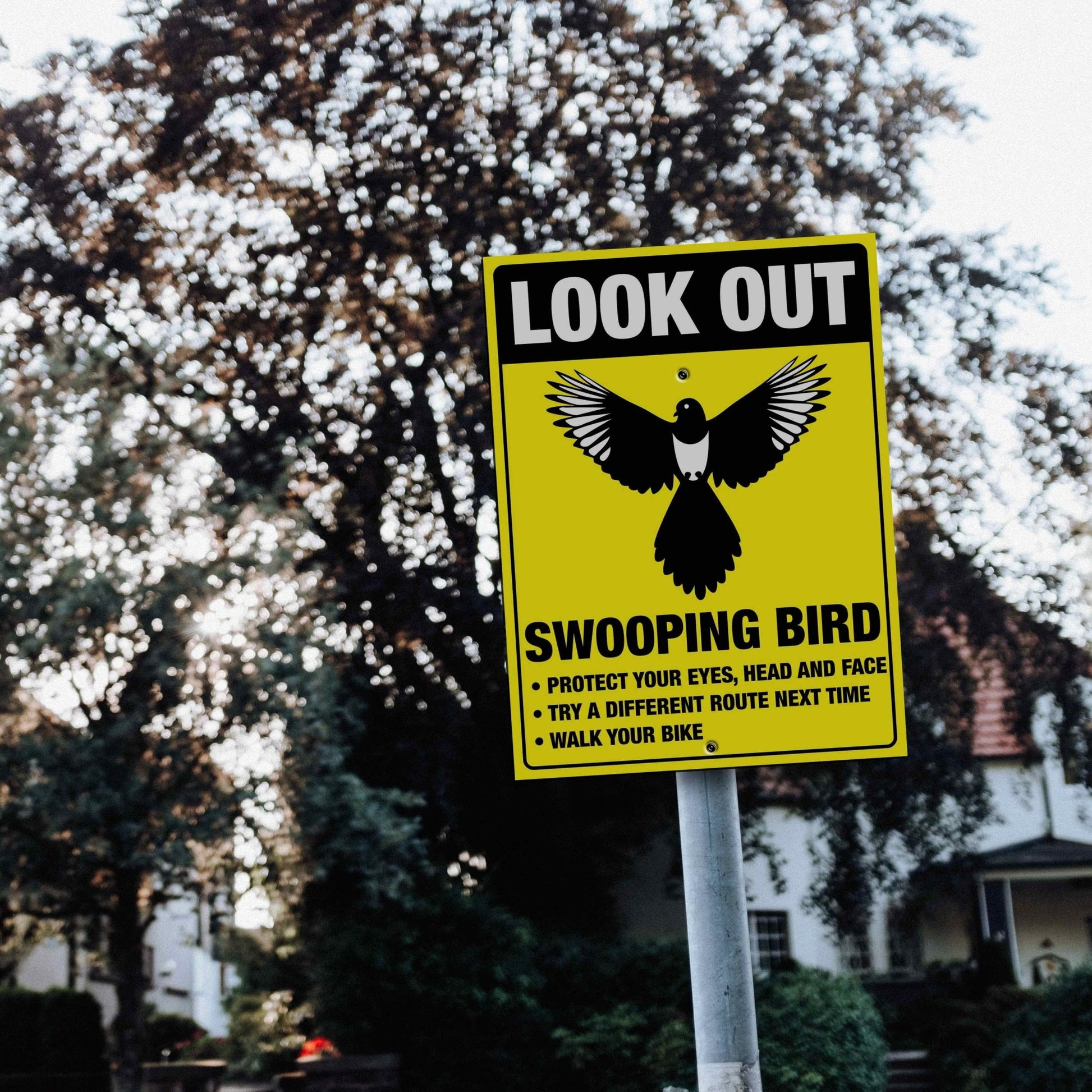 Look Out Swooping Bird Bright Yellow Sign - New Signs