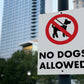 No Dogs Allowed Sign - New Signs