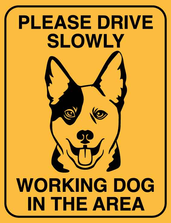 Please Drive Slowly Working Dog in This Area Wheelie Bin Sticker - New Signs
