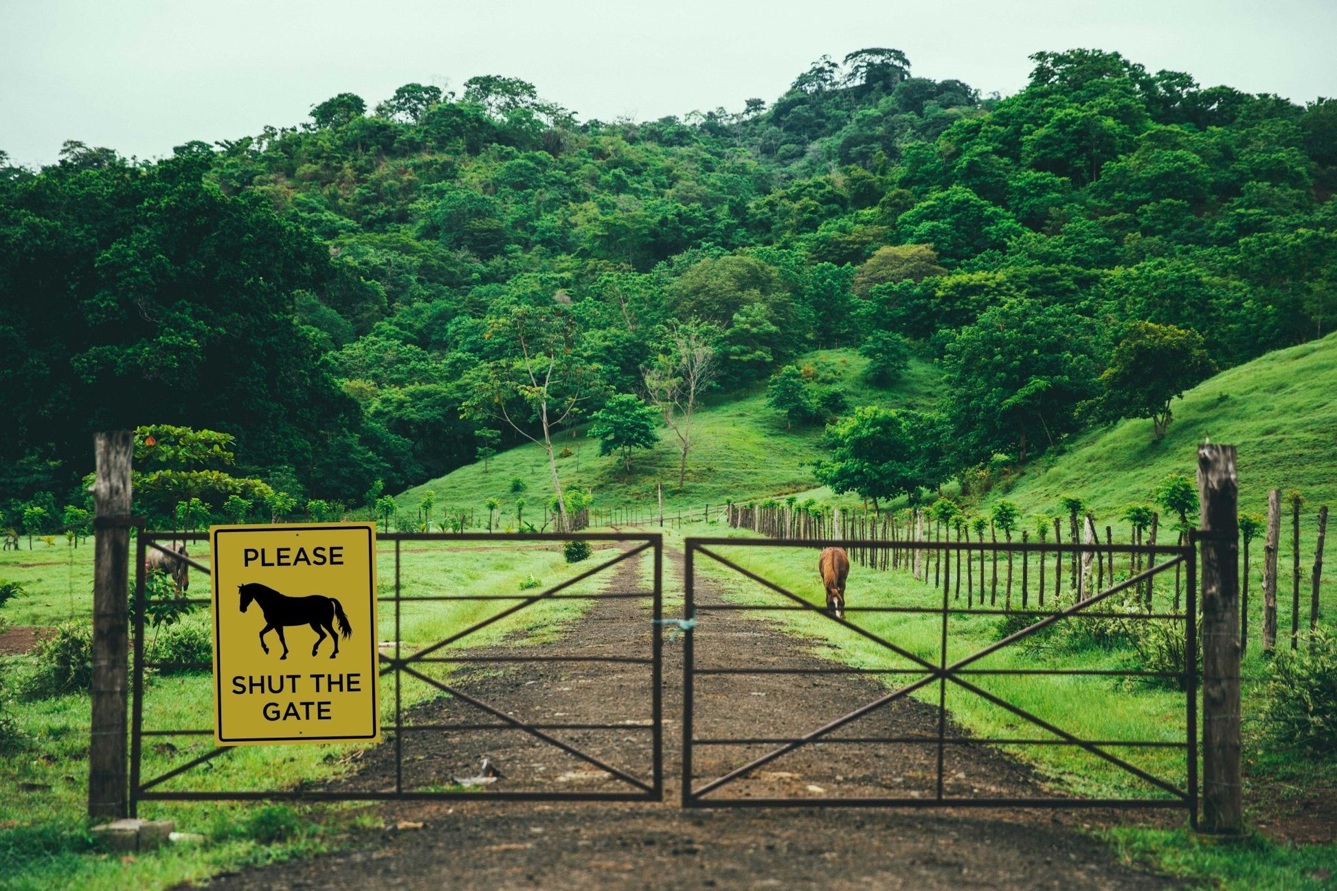 Please Shut the Gate Horses Sign - New Signs