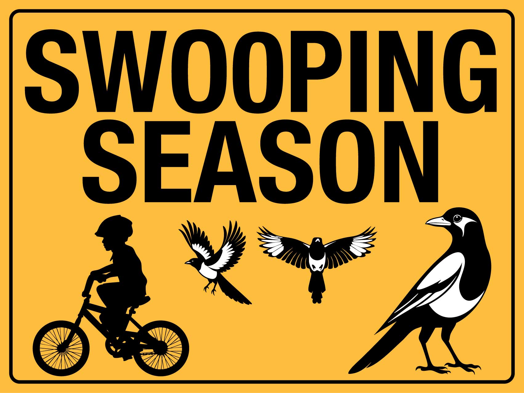 Swooping Season Sign – New Signs