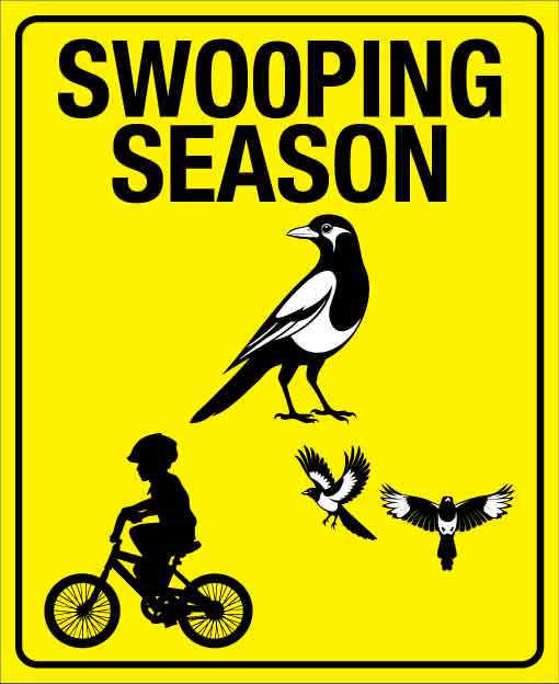 Swooping Season Wheelie Bin Sticker - New Signs