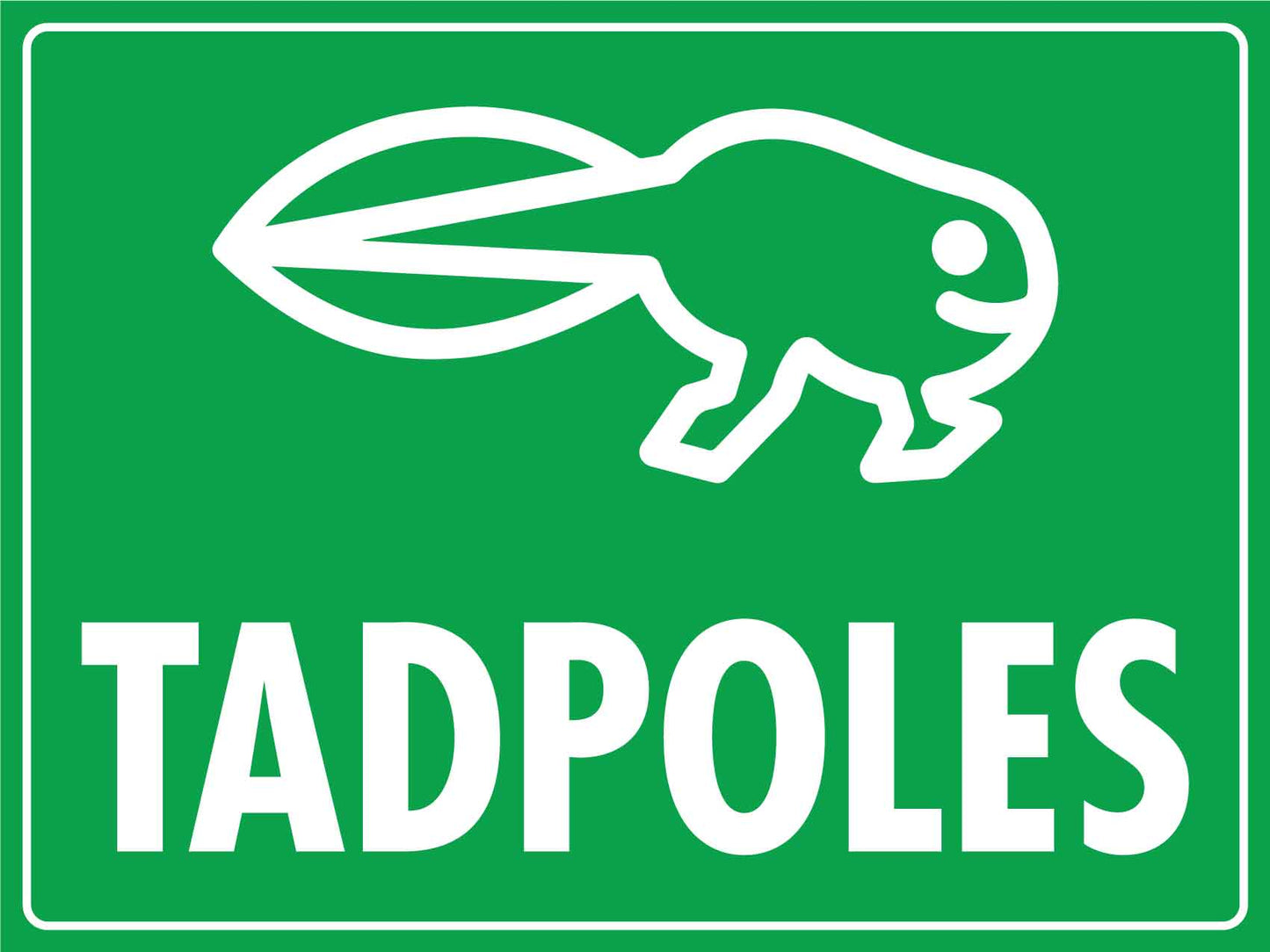 Tadpoles Sign - New Signs