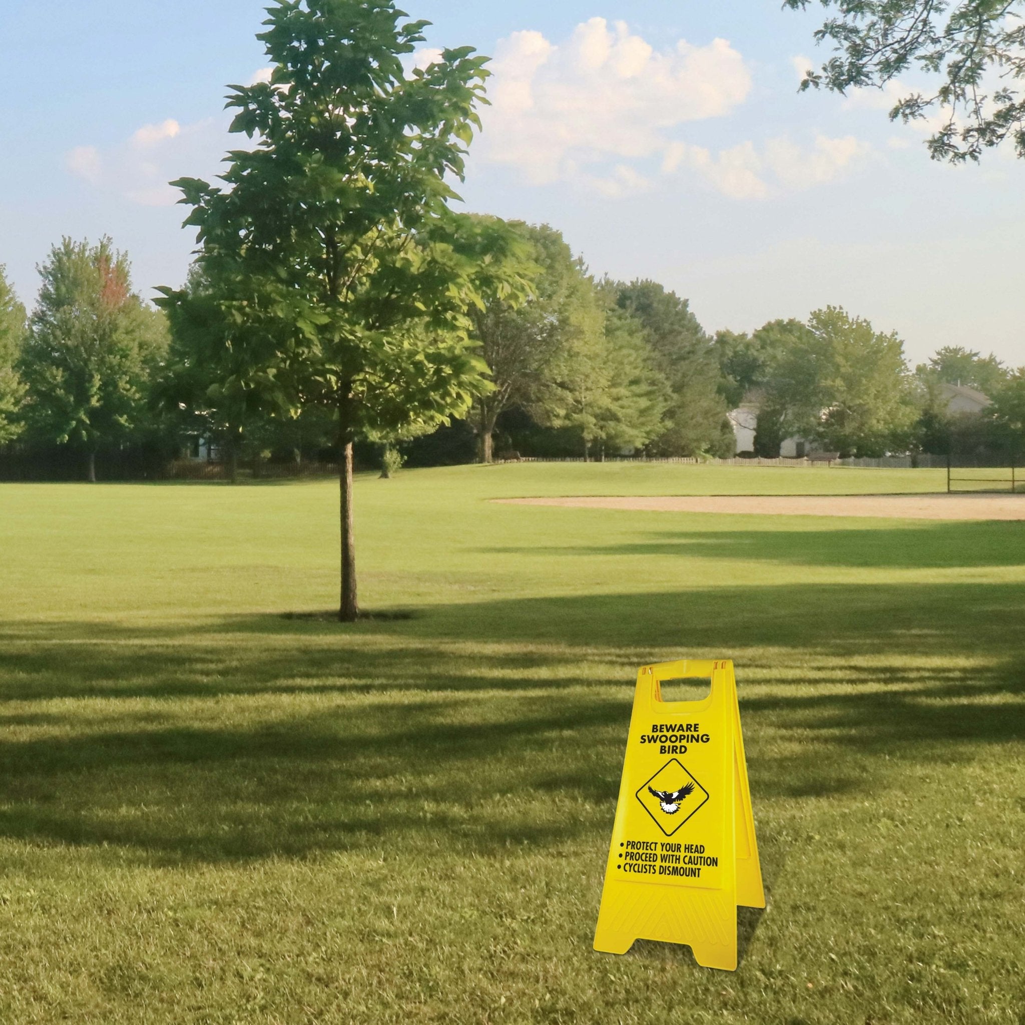 Yellow A-Frame - Beware Swooping Bird – New Signs