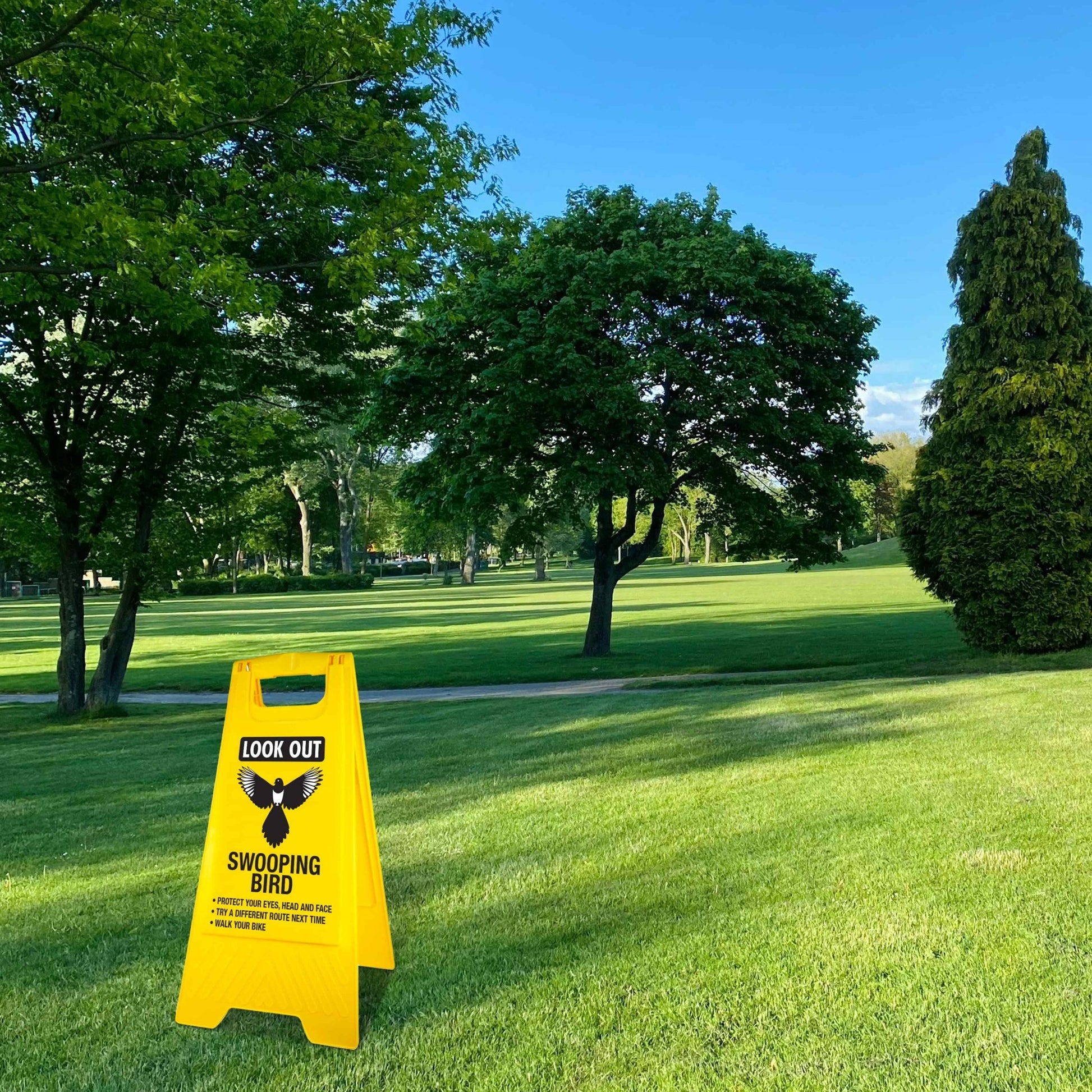 Yellow A - Frame - Look Out Swooping Bird - New Signs