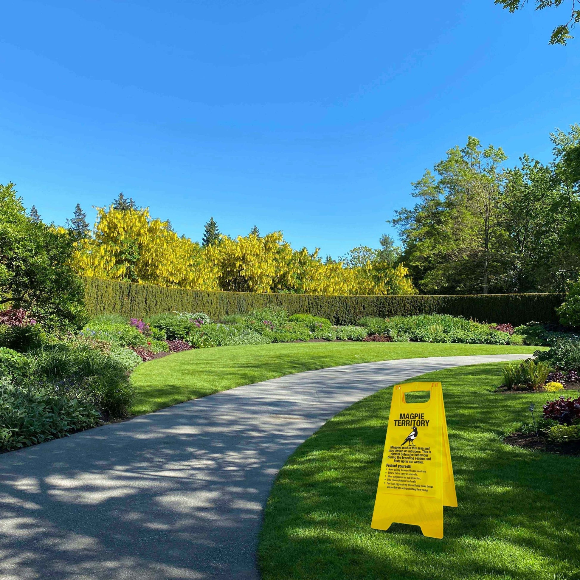 Yellow A - Frame - Magpie Territory - New Signs