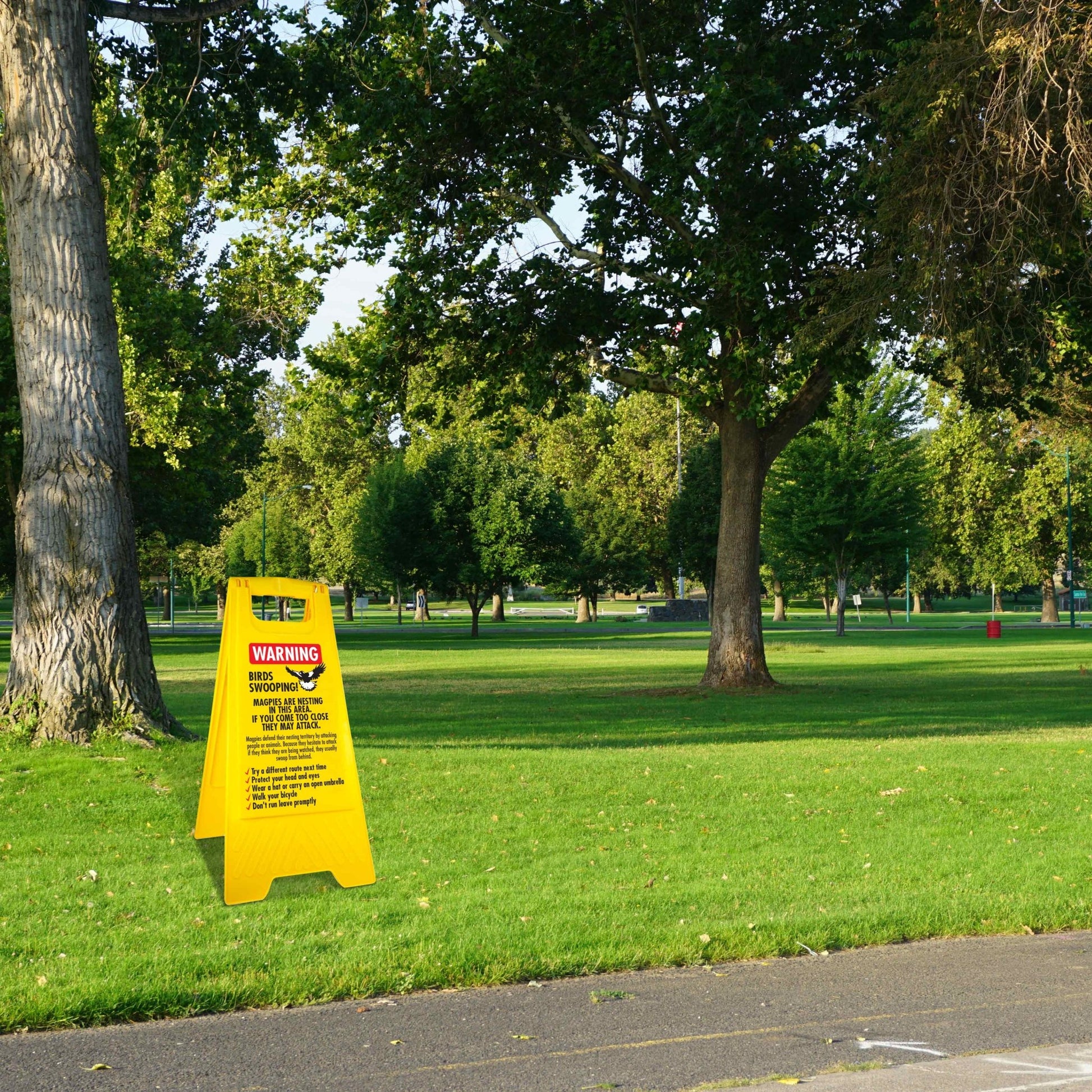Yellow A - Frame - Warning Birds Swooping - New Signs