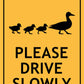 Ducks Please Drive Slowly Sign