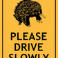 Echidna Please Drive Slowly Sign