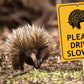 Echidna Please Drive Slowly Sign
