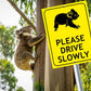 Koala Please Drive Slowly Bright Yellow Sign