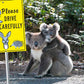 Please Drive Carefully Wildlife Bright Yellow Sign
