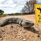 Lizard Please Drive Slowly Sign