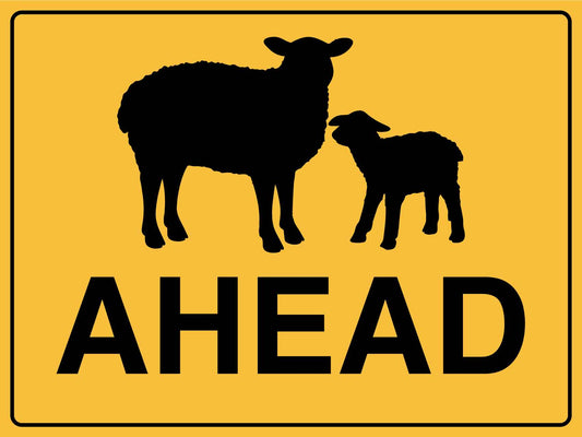 Sheep Ahead Image Sign