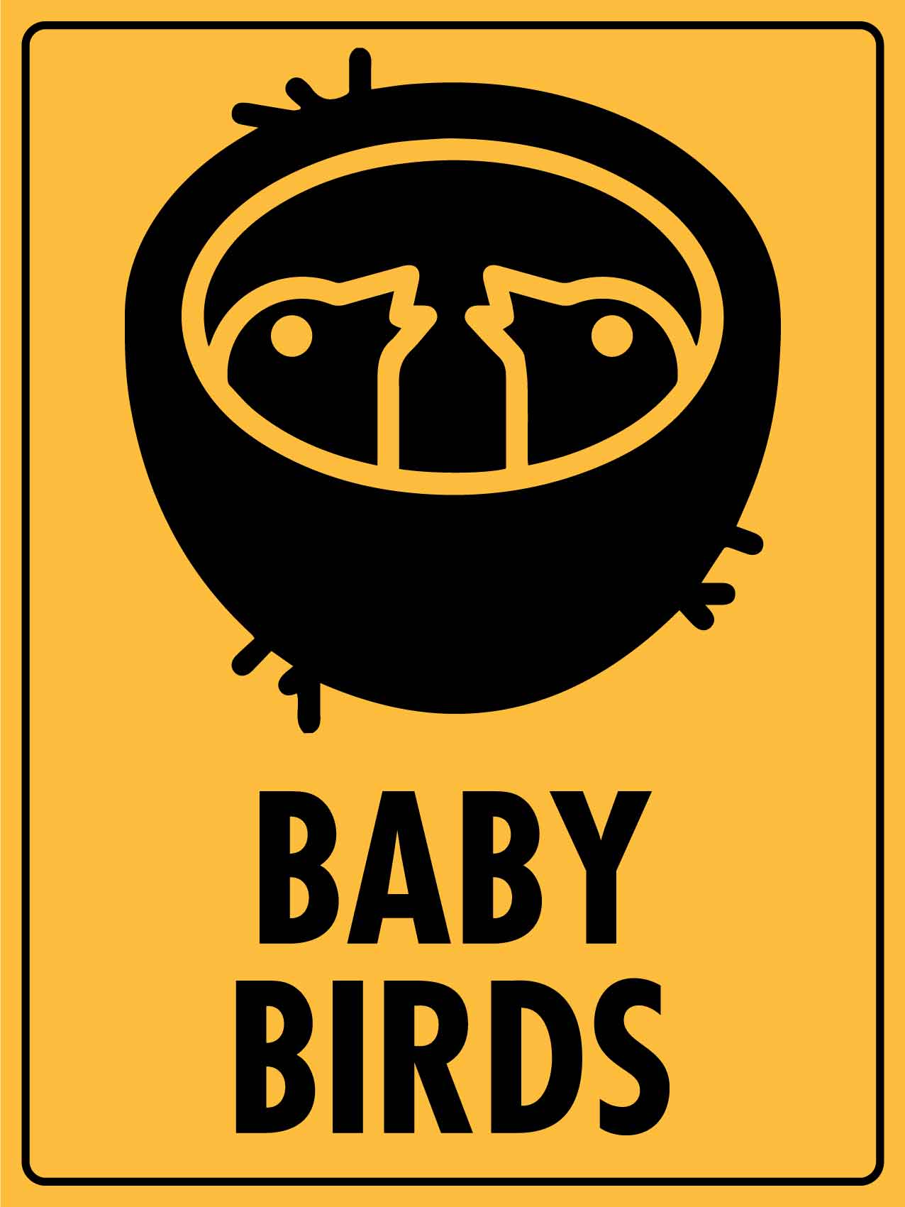 Baby Birds Sign – New Signs