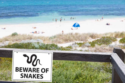 Beware Of Snakes Horizontal Sign - New Signs