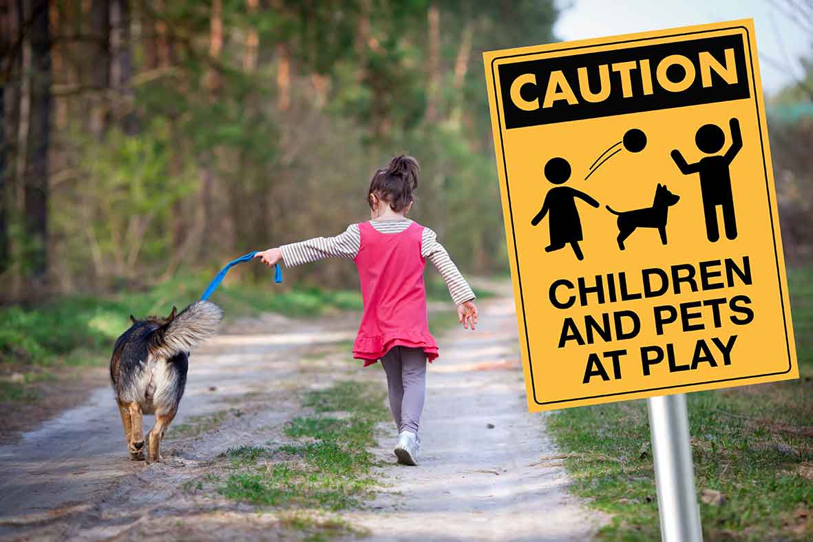Caution Children and Pets at Play Sign - New Signs