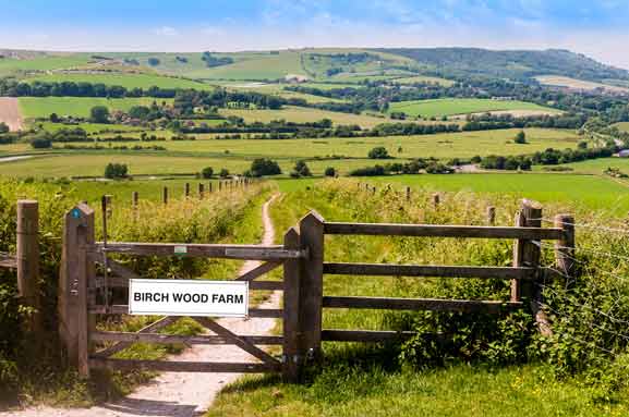 Custom Name Sign - New Signs