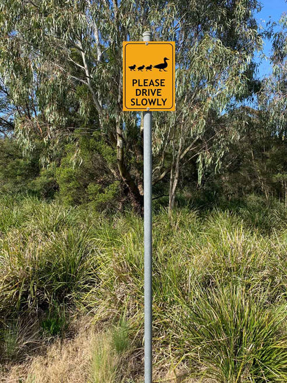 Ducks Please Drive Slowly Sign - New Signs