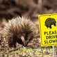 Echidna Please Drive Slowly Bright Yellow Sign - New Signs