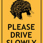 Echidna Please Drive Slowly Sign - New Signs