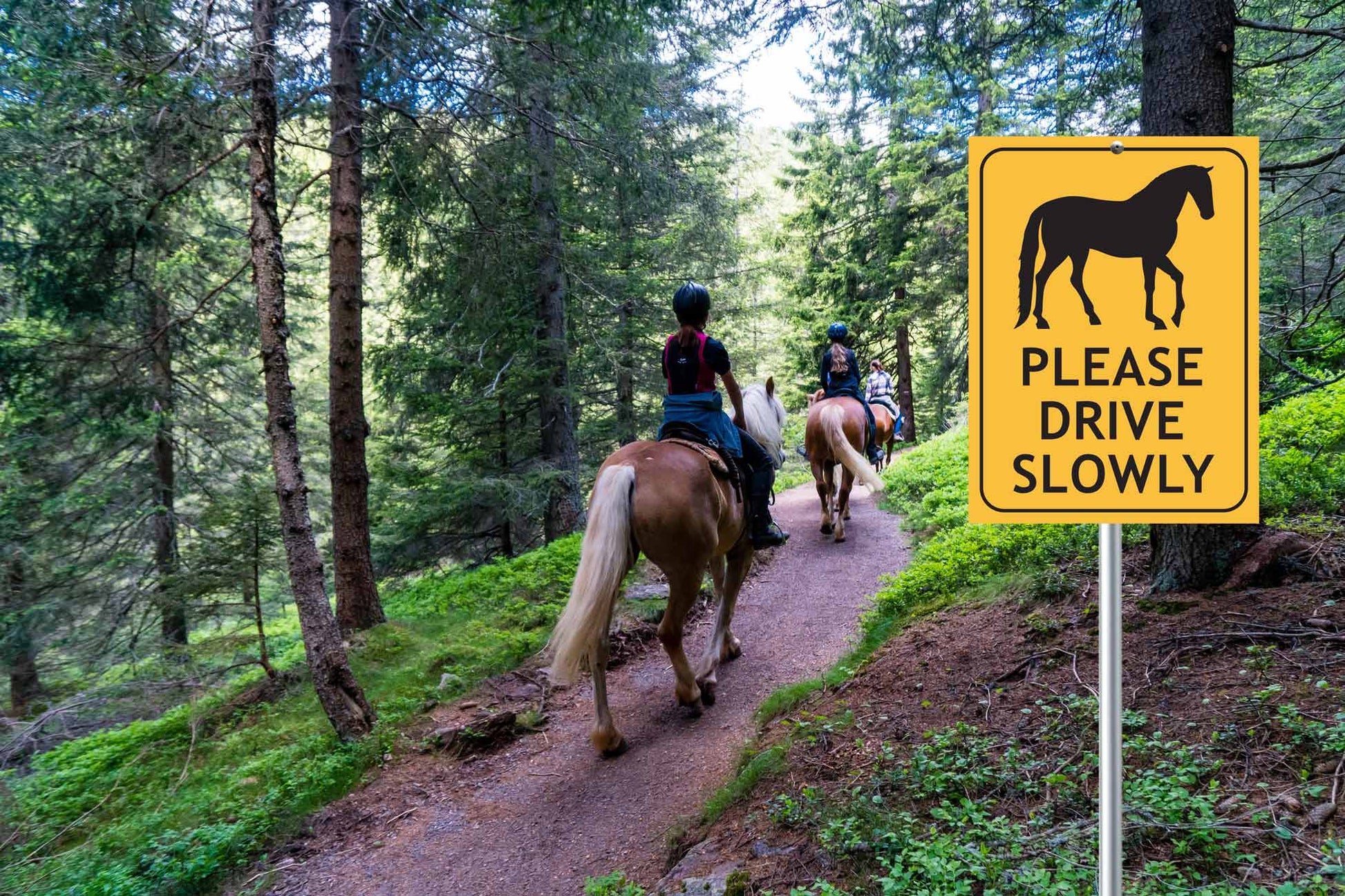 Horses Please Drive Slowly Sign - New Signs