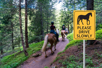 Horses Please Drive Slowly Sign - New Signs