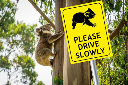 Koala Please Drive Slowly Bright Yellow Sign - New Signs