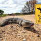 Lizard Please Drive Slowly Sign - New Signs