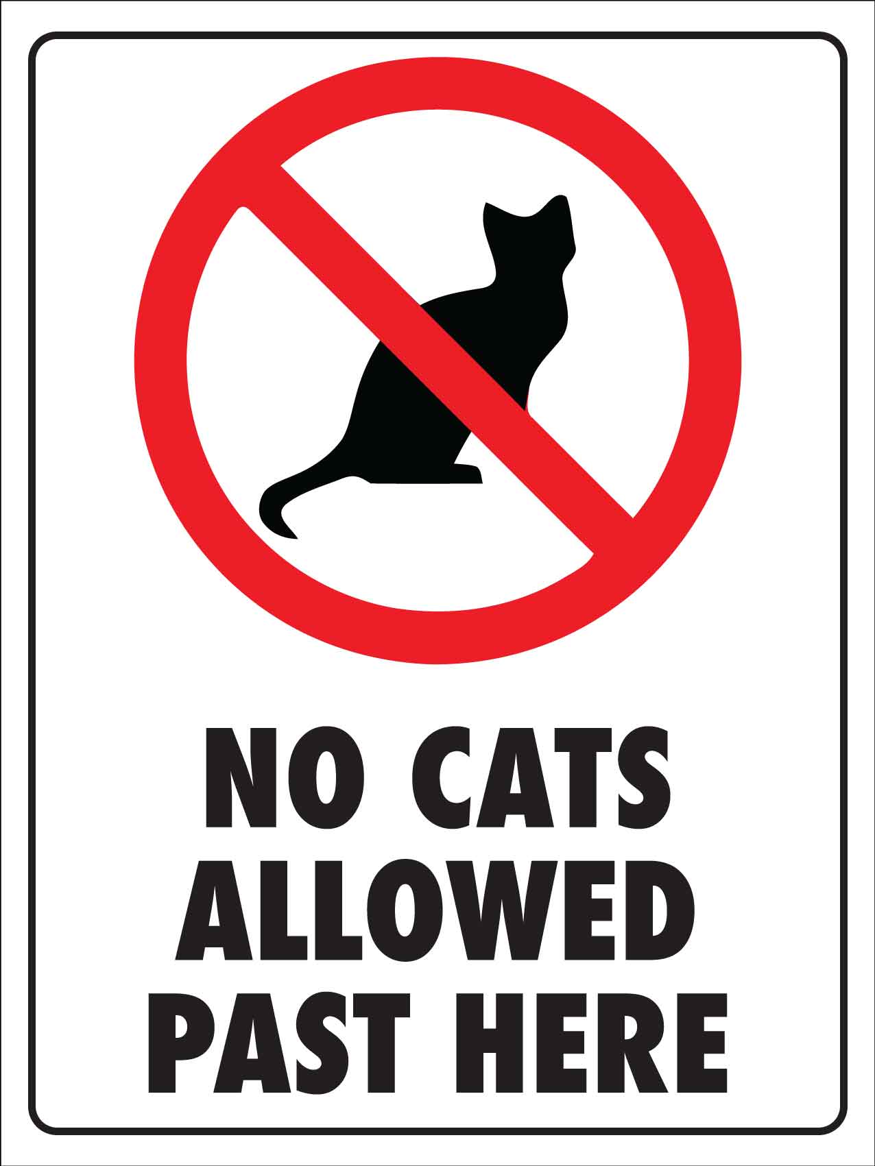 No Cats Allowed Past Here Sign - New Signs