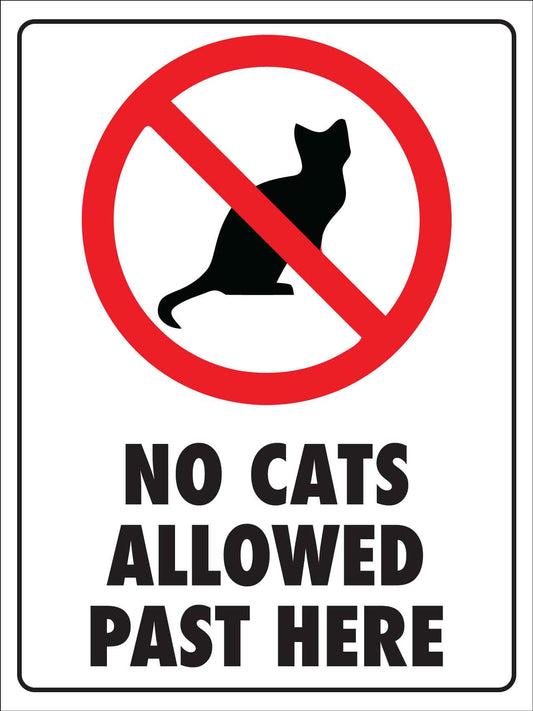 No Cats Allowed Past Here Sign - New Signs