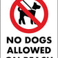 No Dogs Allowed On Beach Sign - New Signs