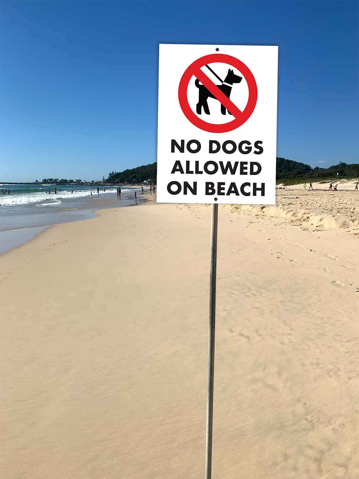 No Dogs Allowed On Beach Sign - New Signs