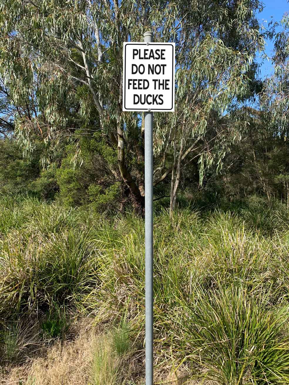 Please Do Not Feed the Ducks Sign - New Signs