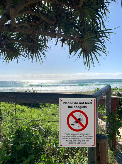 Please Do Not Feed the Seagulls Sign - New Signs