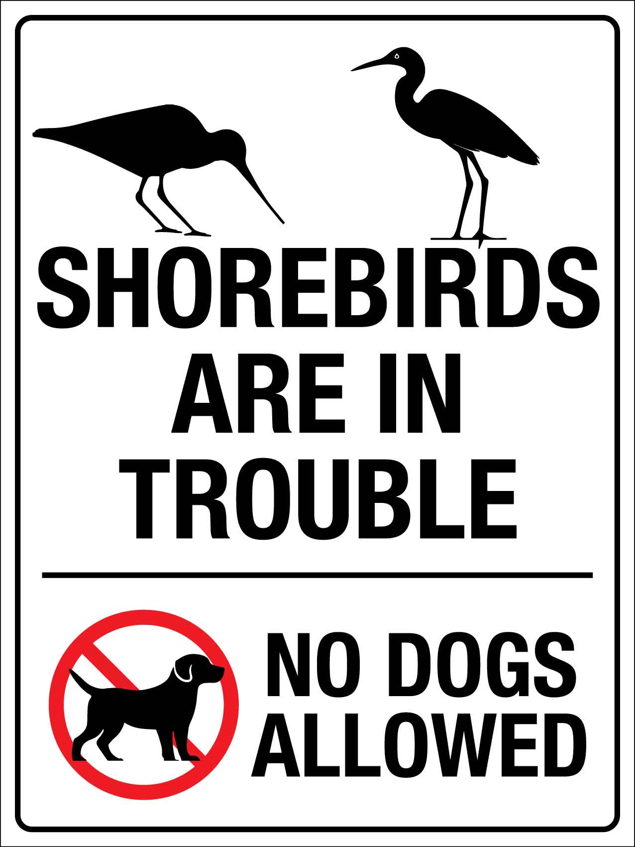 Shorebirds Are In Trouble No Dogs Allowed Sign - New Signs