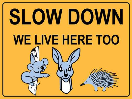 Slow Down We Live Here Too Koala Kangaroo Echidna Sign - New Signs