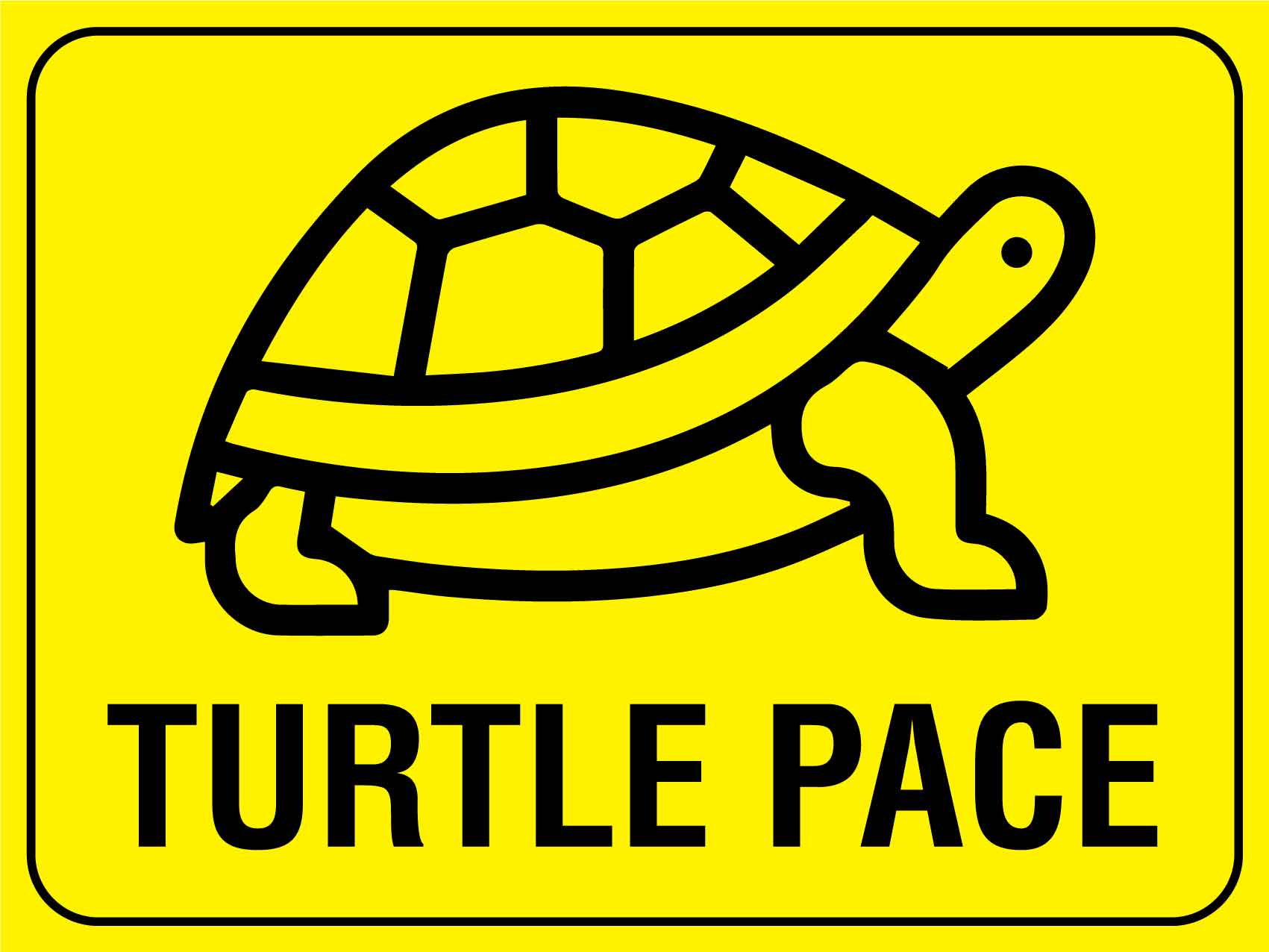 Turtle Pace Sign - New Signs