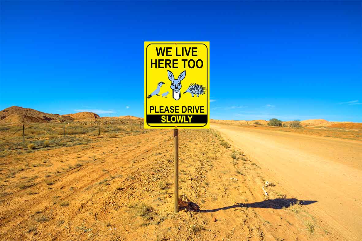 We Live Here Too Please Drive Slowly Bright Yellow Sign - New Signs