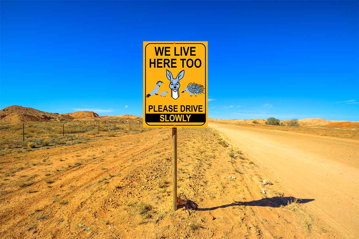 We Live Here Too Please Drive Slowly Sign - New Signs